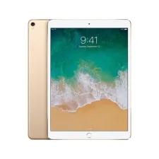 iPad Pro 9.7 (2016)